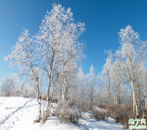 2019年冬天數(shù)九是幾月幾號(hào) 2019年冬天哪一天入九3